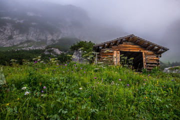 Mountain Alps