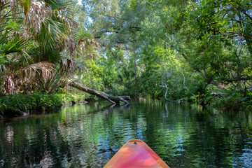 Kayaking on Juniper Springs Creek, Florida	