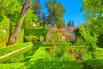 Famous garden in the Alhambra at Granada in Spain.
