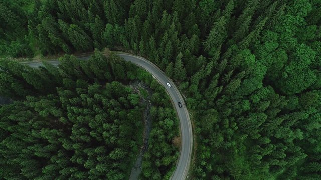 Two cars are passing at a mountain road in the woods near the river flows