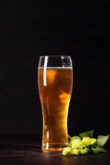 Glass of beer with hop cones on dark wooden background. October fest background