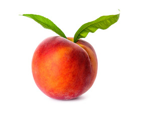 Ripe peach on white background