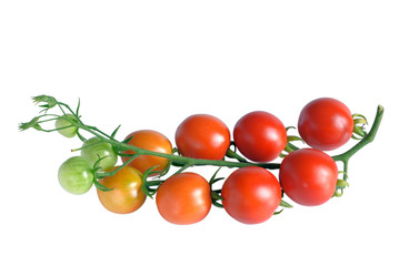 Cherry tomatoes
