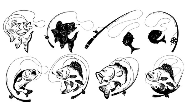 Download 2 099 Best Bass Fish Cartoon Images Stock Photos Vectors Adobe Stock