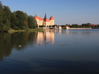 Fototapeta na wymiar Das Barockschloss Moritzburg im Sonnenlicht