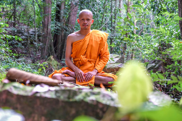 Buddha monk make meditation in deep peace forest