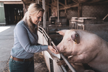 Junge Landwirtin gibt einer Sau Futter aus der Hand