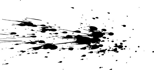 Black paint, ink splash, brushes ink droplets, blots. Black ink splatter grunge background, isolated on white. Vector illustration