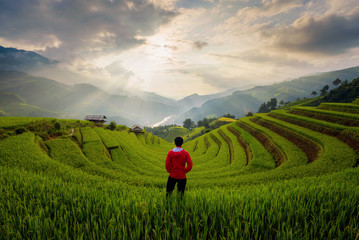 An Asian man watching at paddy rice terraces, agricultural fields in countryside of Mu Cang Chai,...