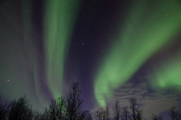 Northern lights (Aurora Borealis) near Tromsø, Norway