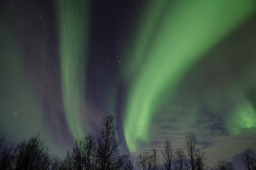 Northern lights (Aurora Borealis) near Tromsø, Norway