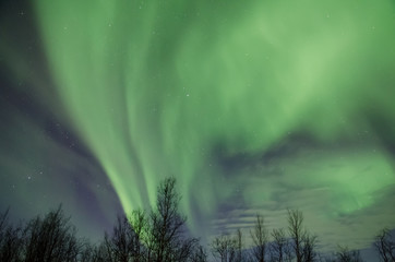 Northern lights (Aurora Borealis) near Tromsø, Norway