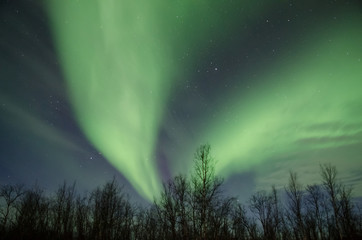 Northern lights (Aurora Borealis) near Tromsø, Norway