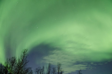 Northern lights (Aurora Borealis) near Tromsø, Norway