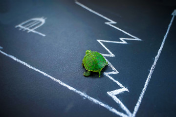 Slow but stable investment or low fluctuate stock market concept, miniature figure turtle walking on chalkboard with drawing price line graph of stock market value. Cuban peso exchange rate.
