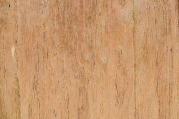 Fototapeta na wymiar Light brown wood abstract texture background