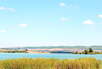 Lake surrounded by vegetation located in the Spanish town of Bornos