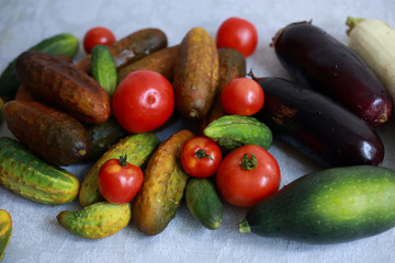 vegetables are fresh, delicious from your garden