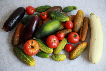 vegetables are fresh, delicious from your garden