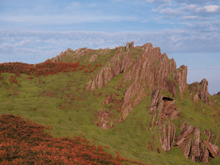 Storm petrel nest boxes,