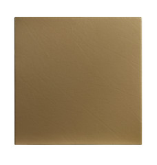 Fototapeta premium Texture pelle