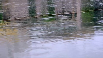 drops of autumn rain close up