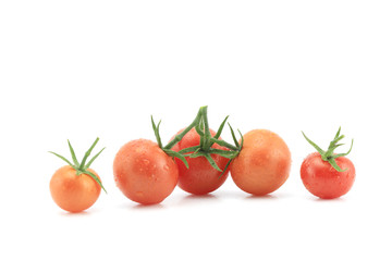 TOMATEN ROT ESSEN