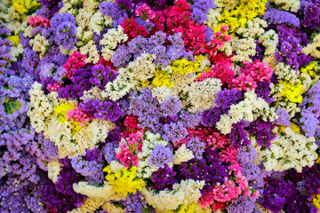 colorful bouquet of dried flowers