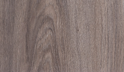 wood laminate veneer sample texture background in horizontal position