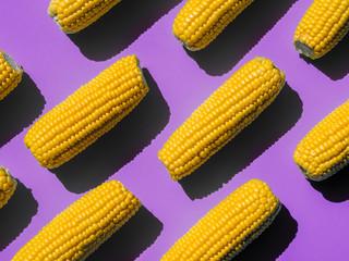 boiled corn heads pattern on a yellow background. Isometric view with pop violet background