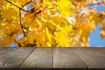 Naklejka na ściany i meble Wooden tabletop and natural blur autumn background. Fall.