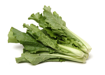 Small Chinese cabbage on white background 