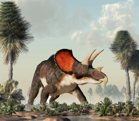 Triceratops was ceratopsian dinosaur that was a frilled and horned, four legged animal. It lived during the cretaceous period. In a watery lowland. 3D Rendering © Daniel Eskridge