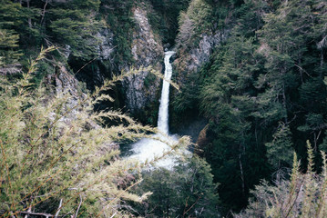 waterfall in forest - Bariloche