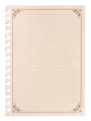 a vintage piece of paper from a notebook in the cage pattern on an isolated white background