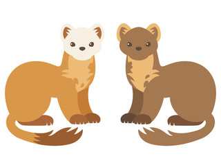 マツテンのイラスト（夏毛・冬毛）