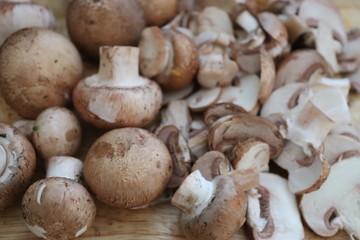 Herbst - Zeit für Pilze