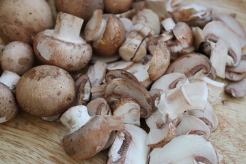 Herbst - Zeit für Pilze