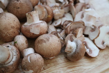 Herbst - Zeit für Pilze