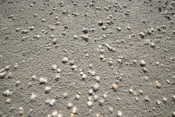 Muscheln im Sand als grafisches Element