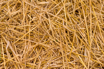 Texture of straw