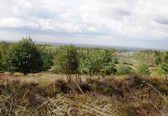 Obraz premium Bielefeld,Senne