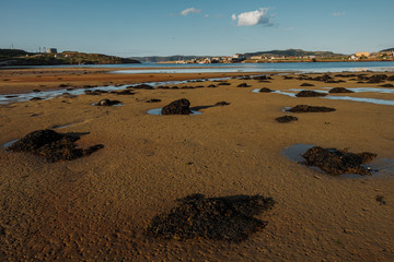 Summer landscape of the green polar tundra in the vicinity Teriberka