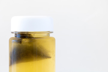 ティーバッグで水出ししているお茶