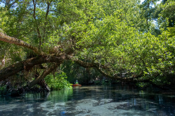 Kayaking on Juniper Springs Creek, Florida	