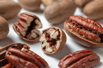 Group of pecan nuts on the white background