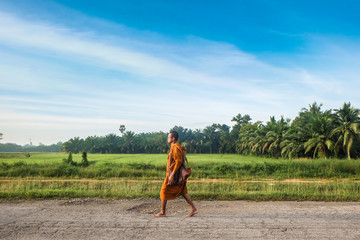 Buddha monk walking to collect alms and offerings while Dhutanga in morning