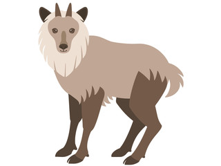 ニホンカモシカのイラスト