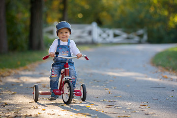 Sweet toddler boy, riding tricycle in the park on sunset, autumn time