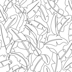 Tropical leaves seamless pattern. Hand drawn outline banana leaf background. Modern line art, aesthetic contour. Vector illustration, black and white design     - 287960284